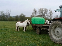 Plastová cisterna na vodu pro pastviny, zelená, 2000 l